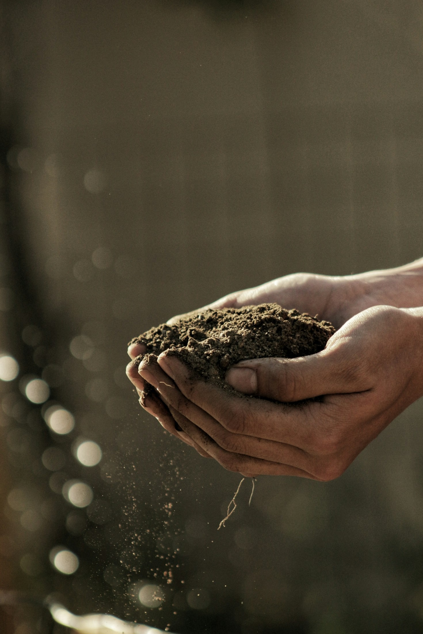Beneficios de las calculadoras de riego para optimizar el agua